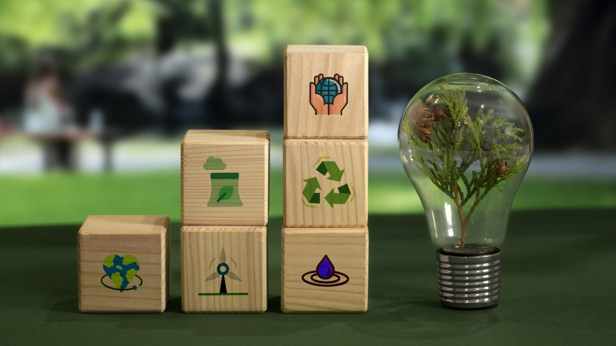 البيئة التسويقية